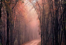 K1体育：[图]德甲-拜尔传射吉拉西建功 多特蒙德2-1逆转莱比锡.