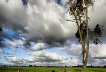 希克：现在谈与勒沃库森续约还太早，我们会看看今夏的情况.